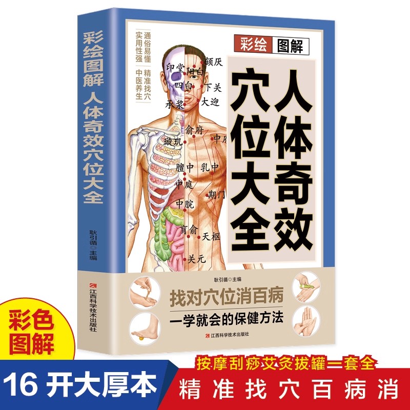 Health & Wellness Alegria - 경혈 마사지 및 TCM 건강 보존