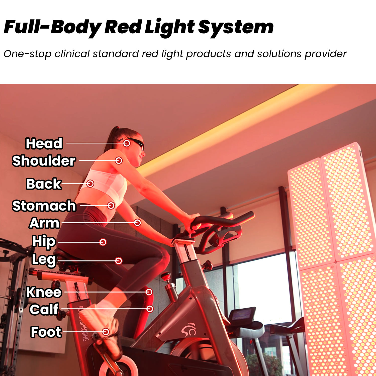 2026 아이디어테라피 RL300MAX-CH 전신 적외 - Red Light Therapy Device 리뷰 및 가격
