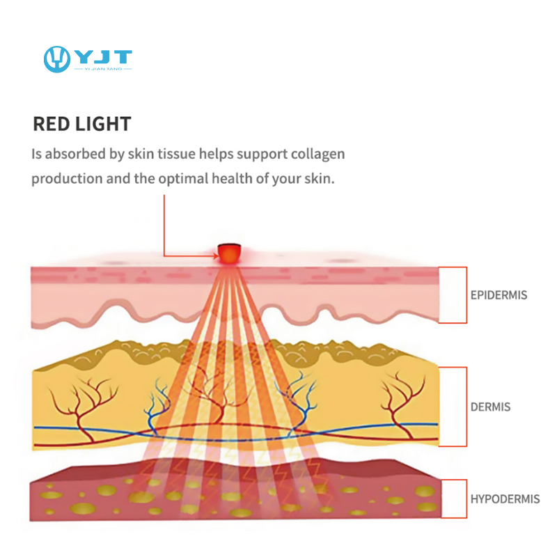 통증 완화 열 진동 치료 패드 기기 물리치료 장비 적색 - Red Light Therapy Device 리뷰 및 가격